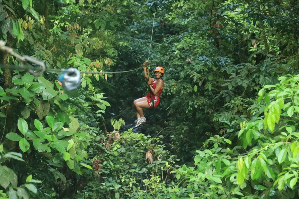 Canopy (Zipline Tour)
