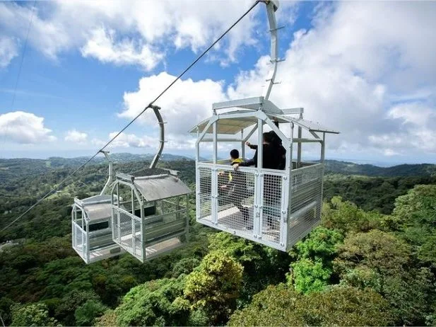 Full Package (SkyTrek + SkyWalk + Arboreal)
