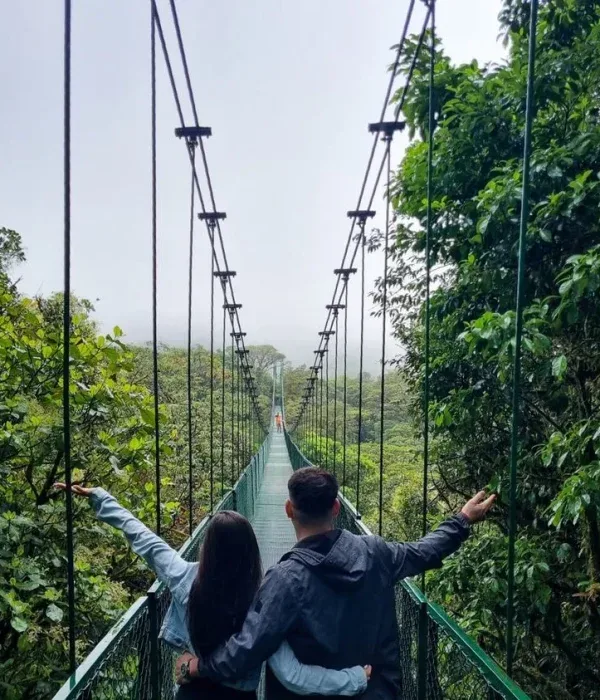 Hanging Bridges