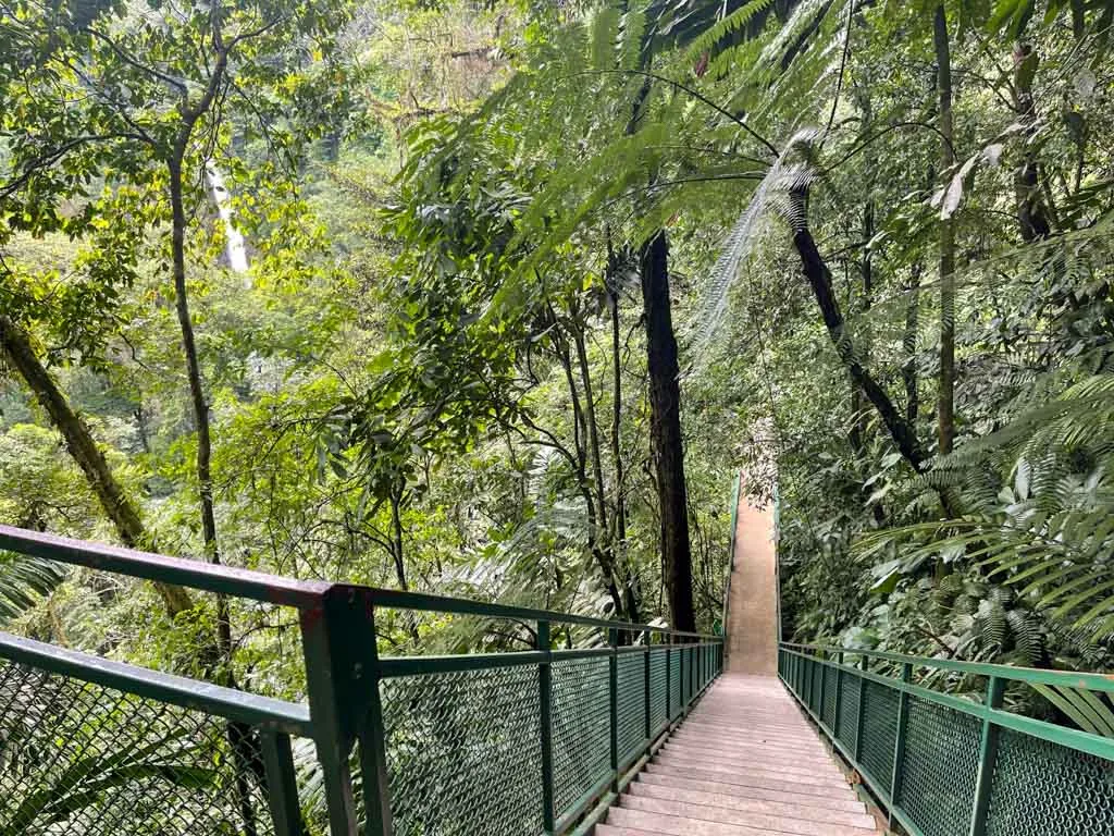 Hanging Bridges Tour