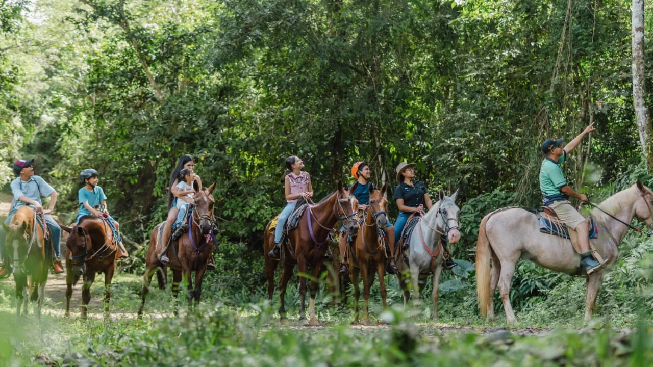 Horseback Riding Tour – Manuel Antonio