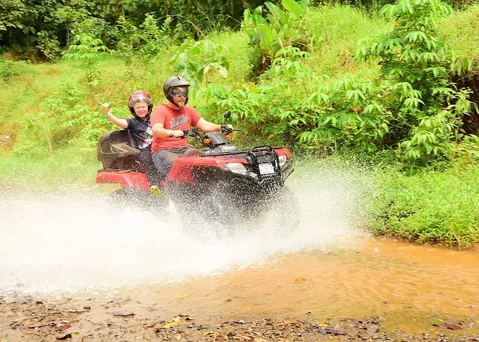 Jungle + Swimming Hole ATV Tour