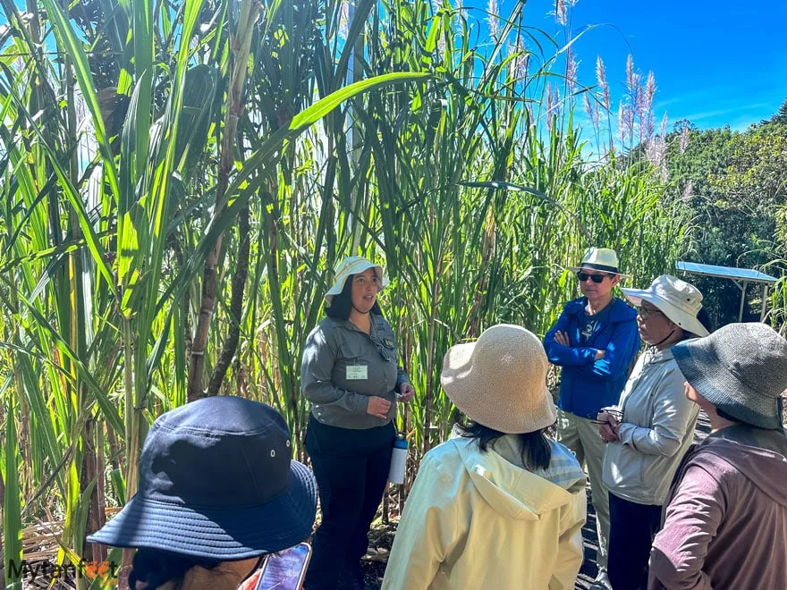 Local Tour & Farm Experience