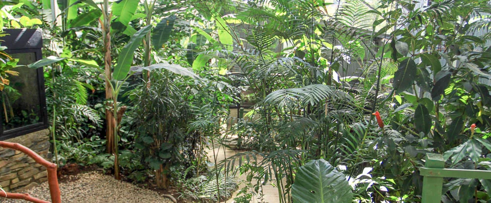 Monteverde Frog Pond (Ranario)