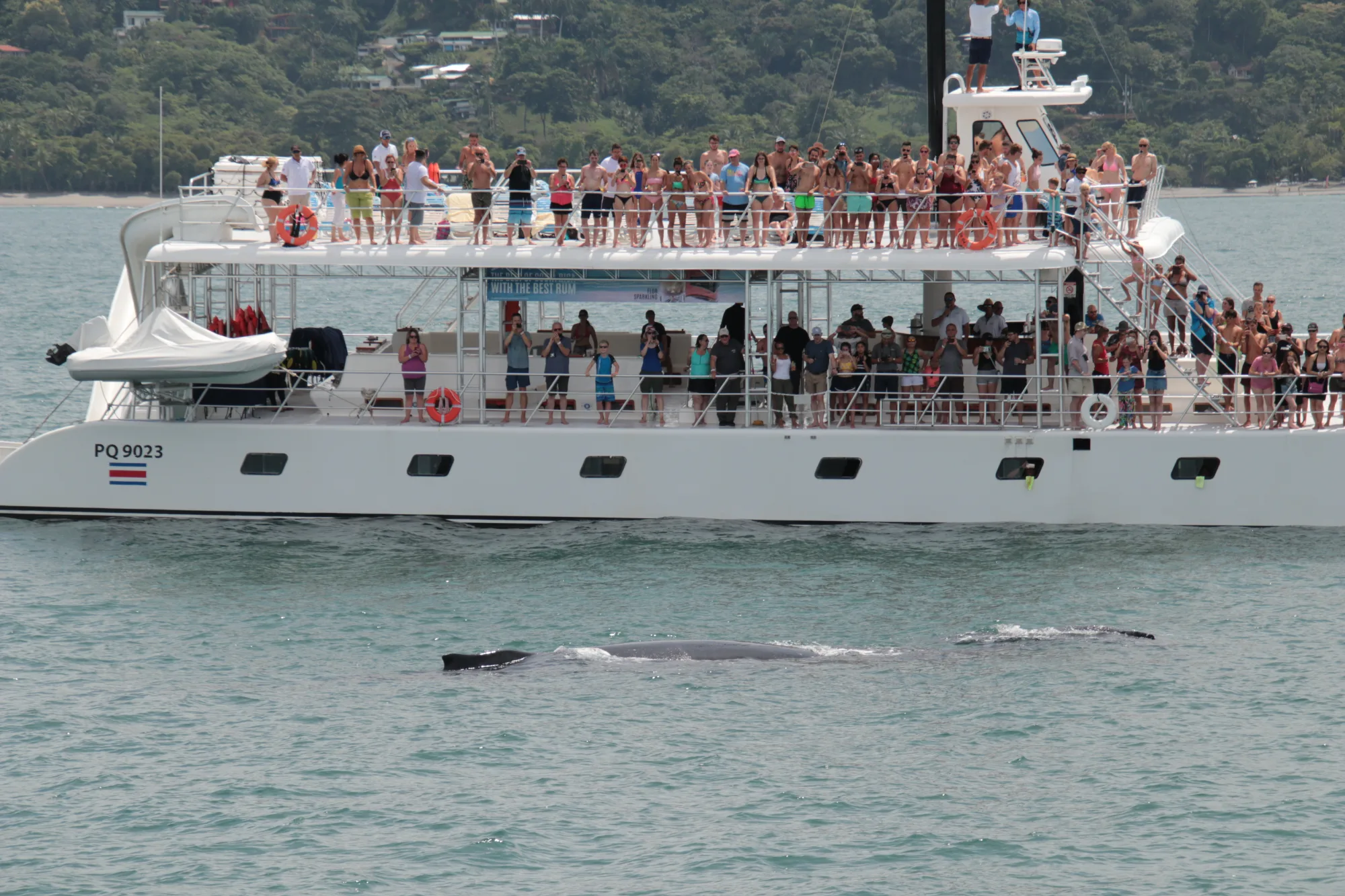 Ocean King Catamaran