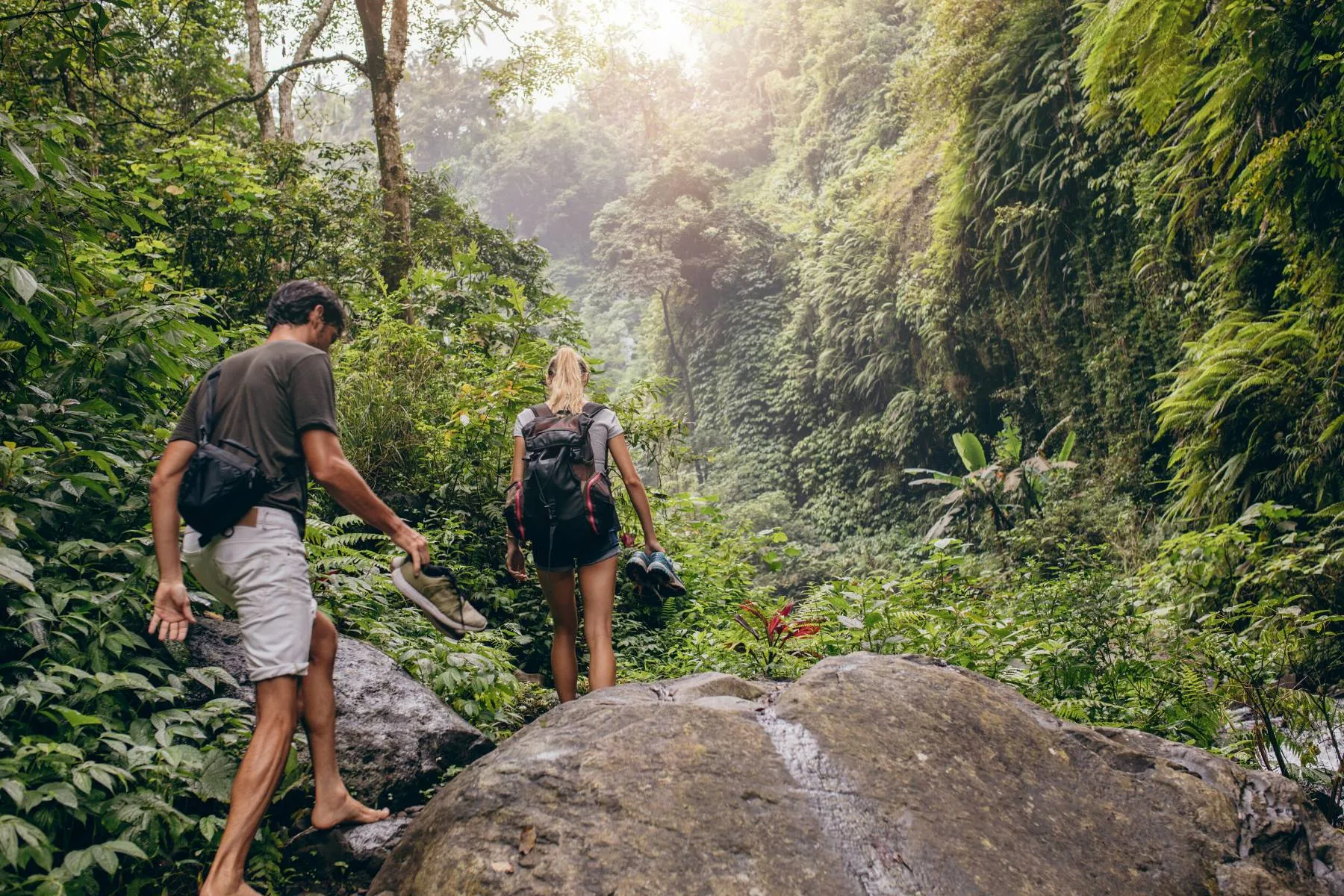 Self-Guided Hiking Trail – Nature Lovers