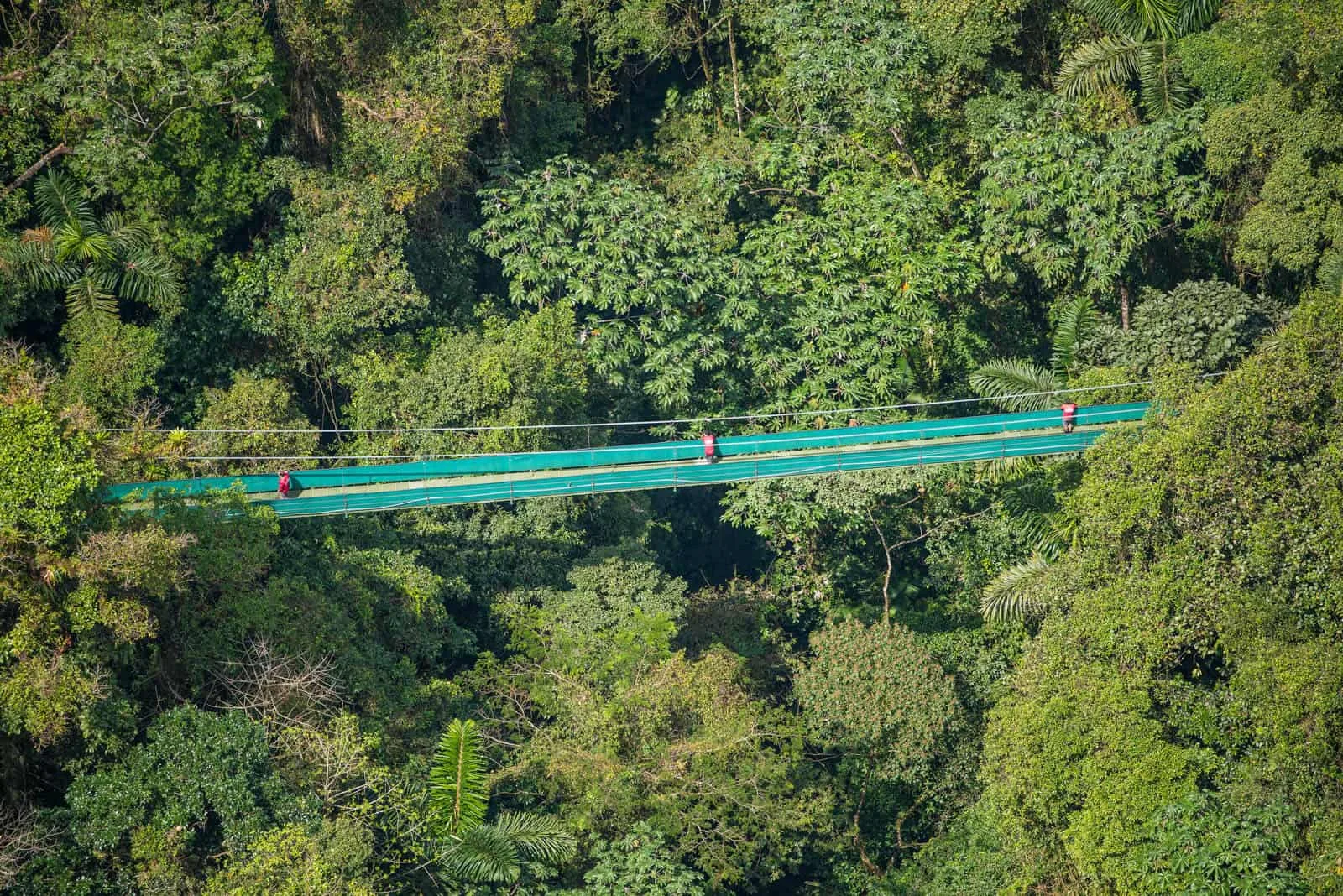 SkyWalk Hanging Bridges