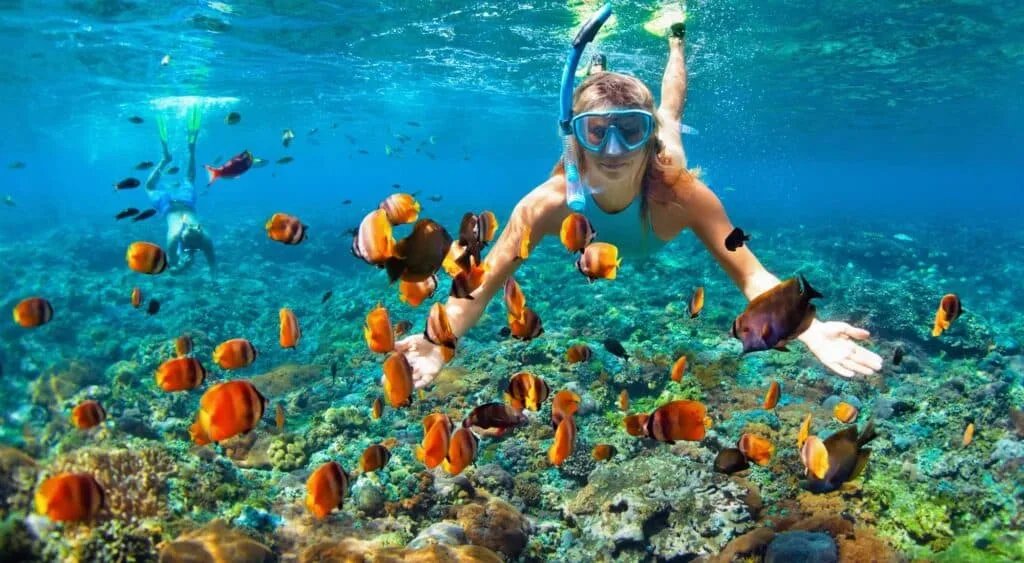 Snorkeling Tour