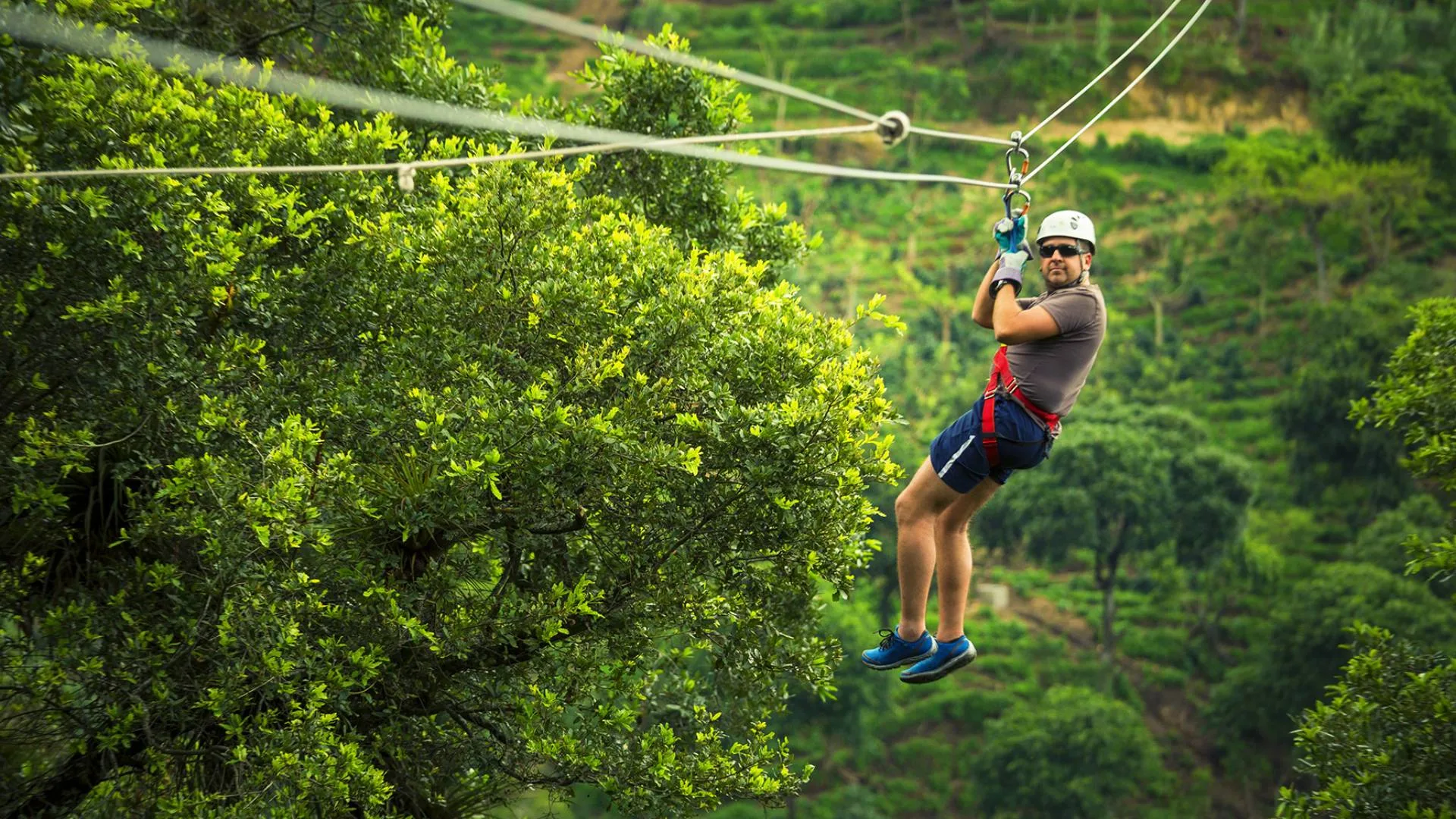 Tarzan Swing Tour – Adrenaline Lovers