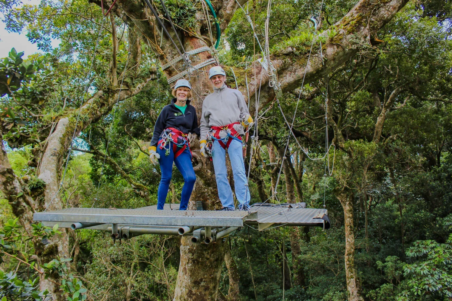 The Original Canopy Tour