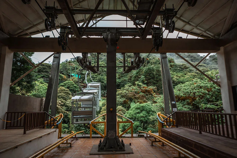 TreeTram Cableway