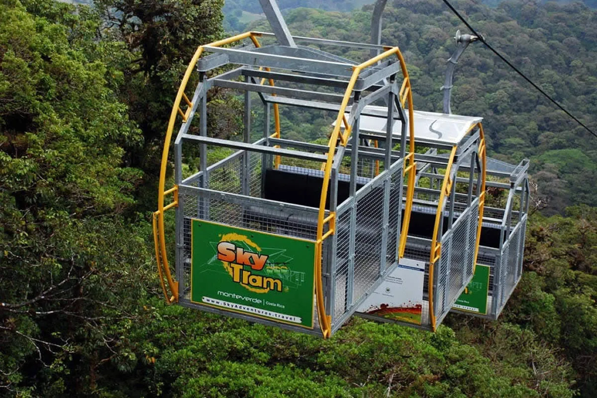 TreeTram + SkyWalk
